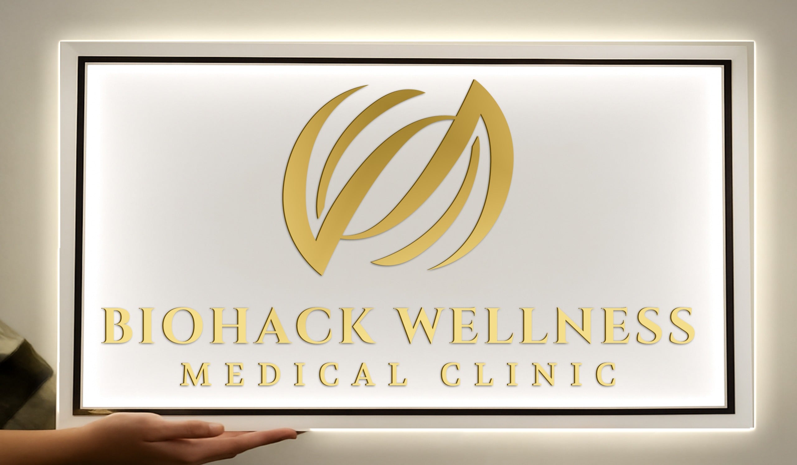 lightbox signs