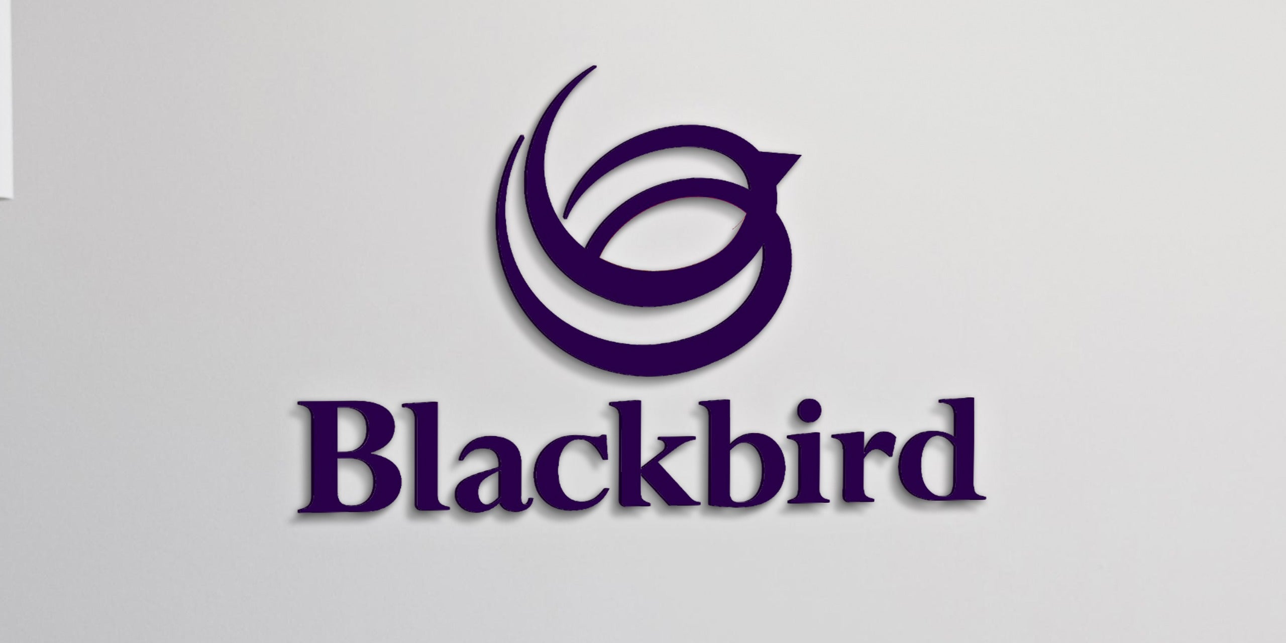 Custom Acrylic Office Sign For Black Bird - Nova Pro Signs